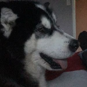 Meet your Posher, Tammy